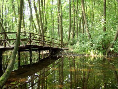 Landgasthof Zum Muehlenteich Eggersdorf  ภายนอก รูปภาพ